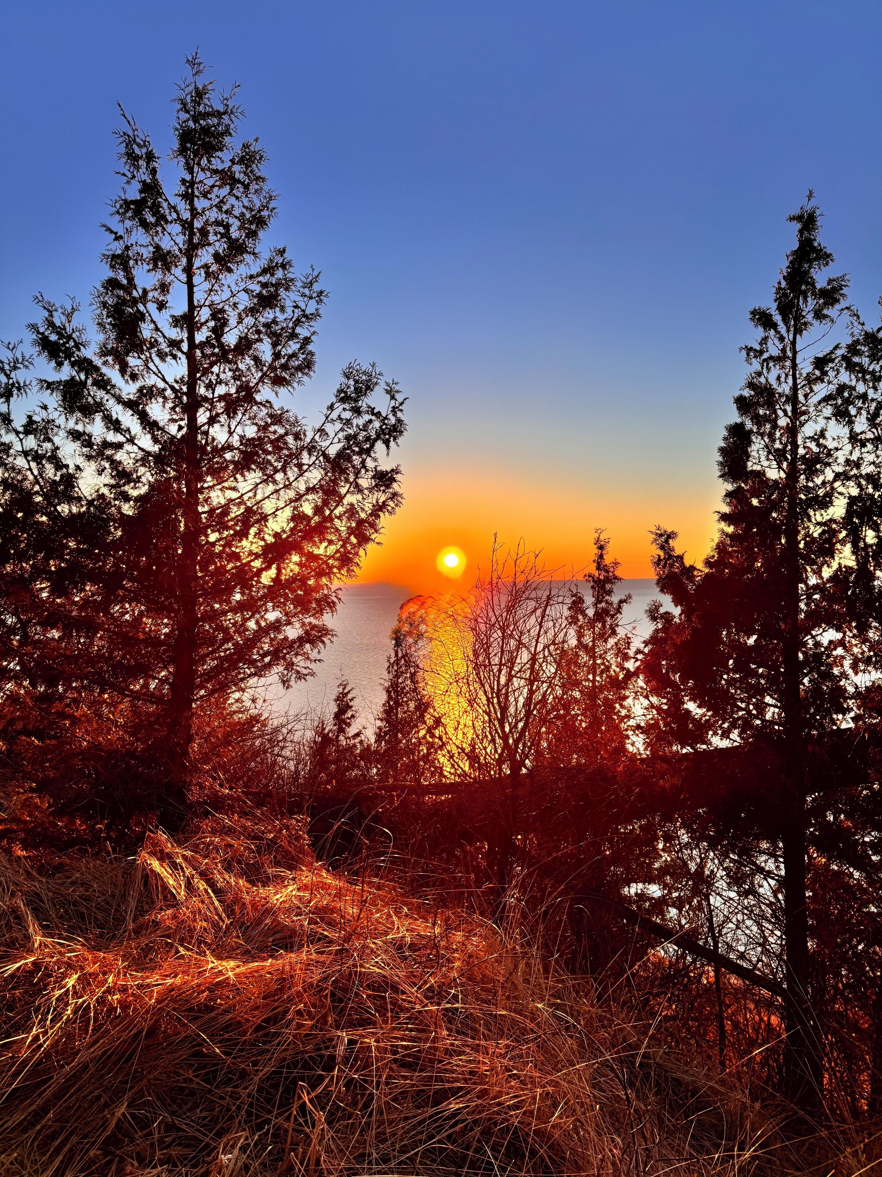 Auringonlaskunäkymä, jossa on puita ja vesistö.