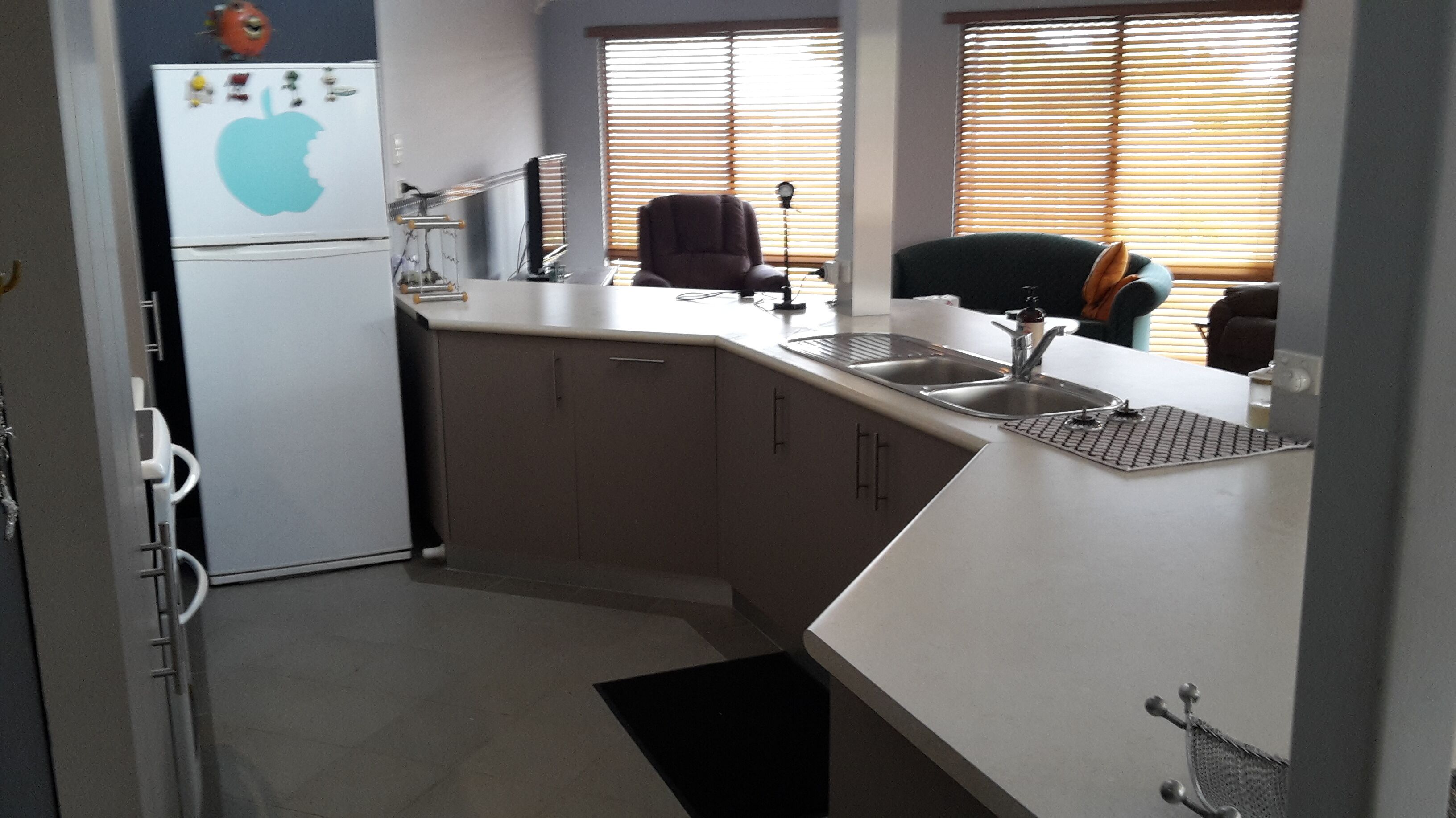 Kangaroo's At Melros 