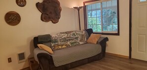 TV, fireplace, DVD player, books