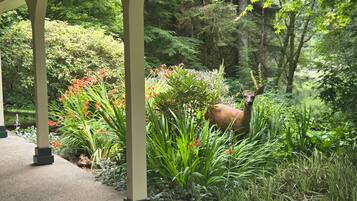 A covered outdoor area with a deer, surrounded by lush greenery and flowering plants.