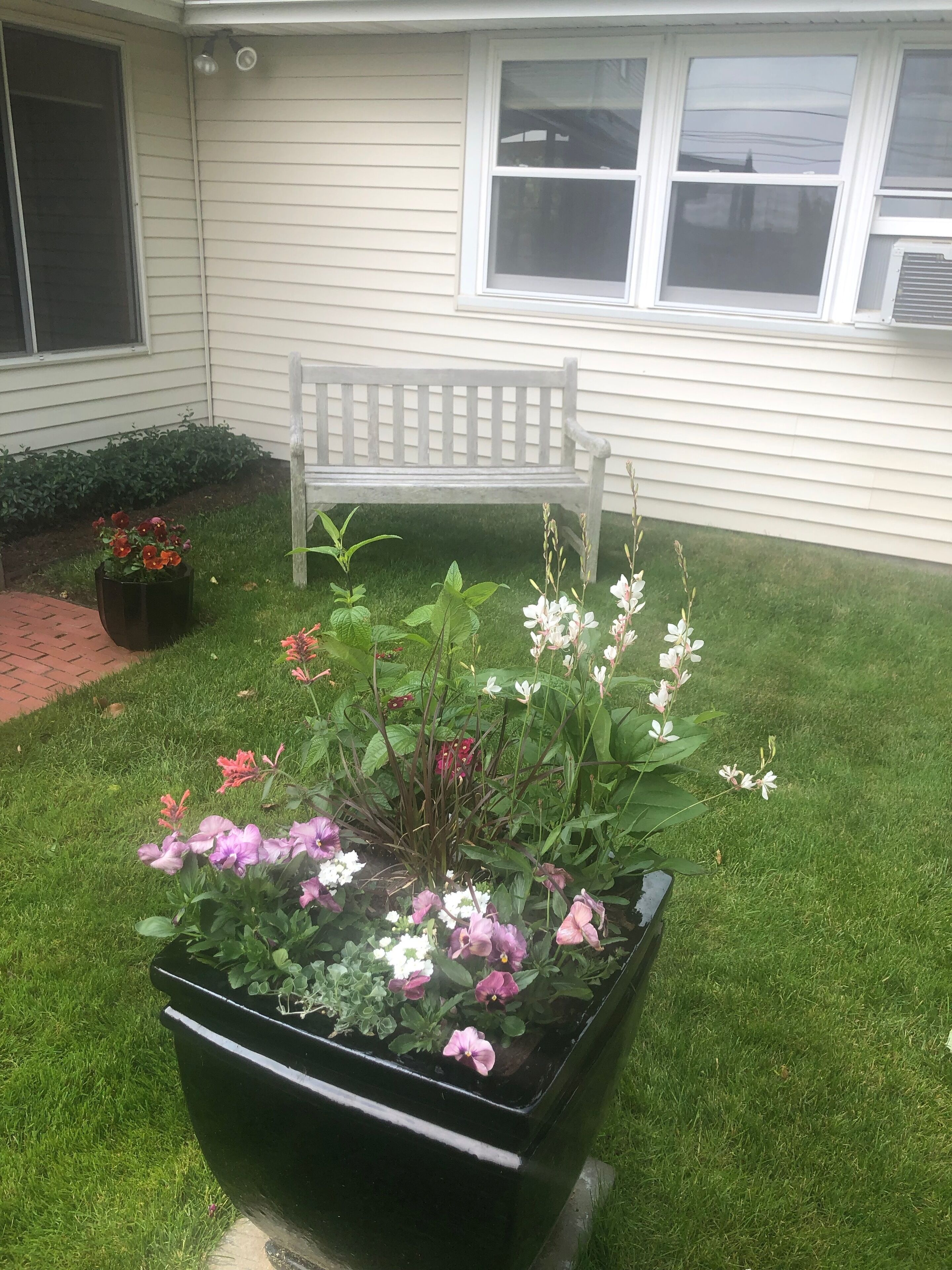 A garden with a bench, a planter with flowers, and a house with windows.