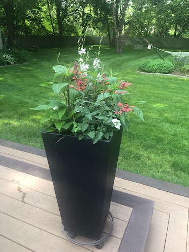 Quiet oasis minutes from beaches, vineyards and downtown Newport