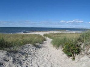 Beach - Beautifully Decorated 3BR Cape - Less than .5 miles to Beach! (1945) (Orleans)