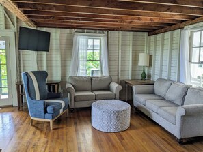 Smart TV, caminetto, lettore DVD, impianto stereo