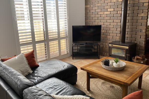 Télévision, cheminée, lecteur de DVD, table de tennis de table