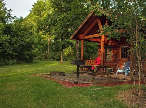 Aspen Cabin: Dog-friendly cabin with hot tub and breakfast delivered daily!