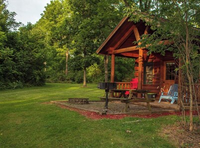 Aspen Cabin: Dog-friendly cabin with hot tub and breakfast delivered daily!
