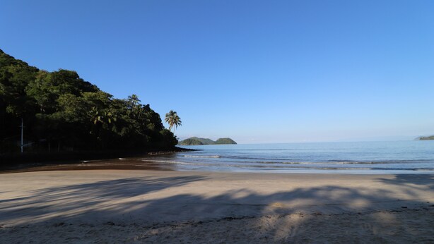 Ein Strand mit blauem Himmel, ruhigem Wasser und einem bewaldeten Gebiet.