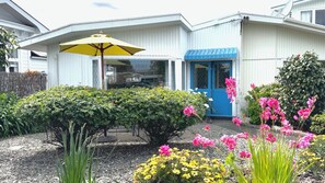 A building with a blue door, a yellow umbrella, and various plants and flowers in the foreground.