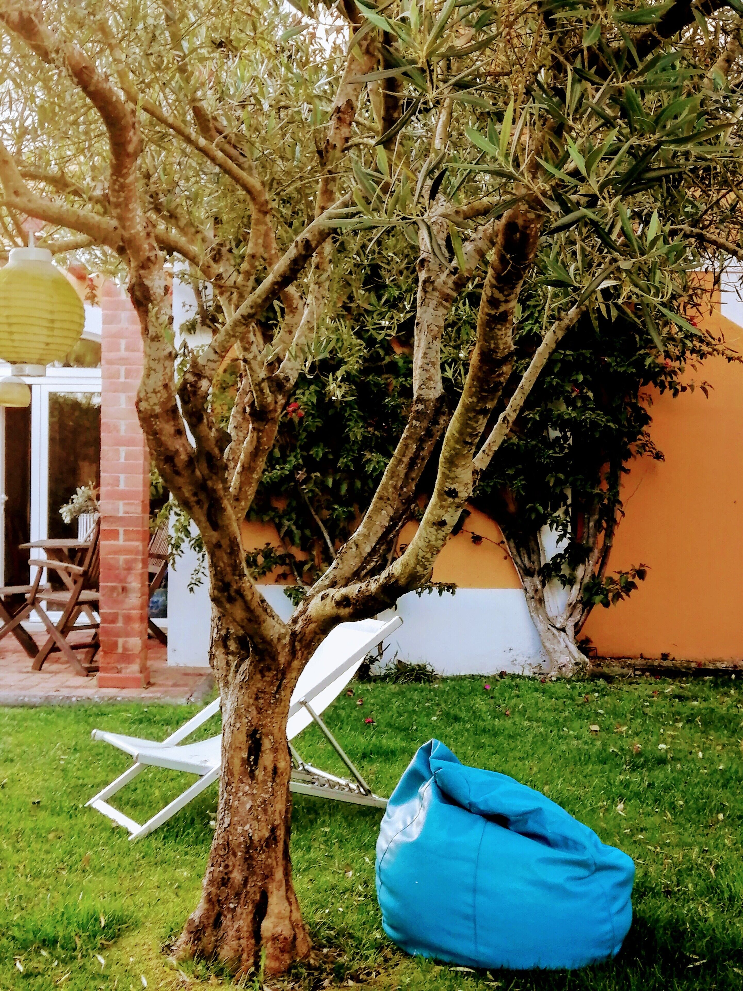 A tree with a white chair and a blue bag in a grassy area.