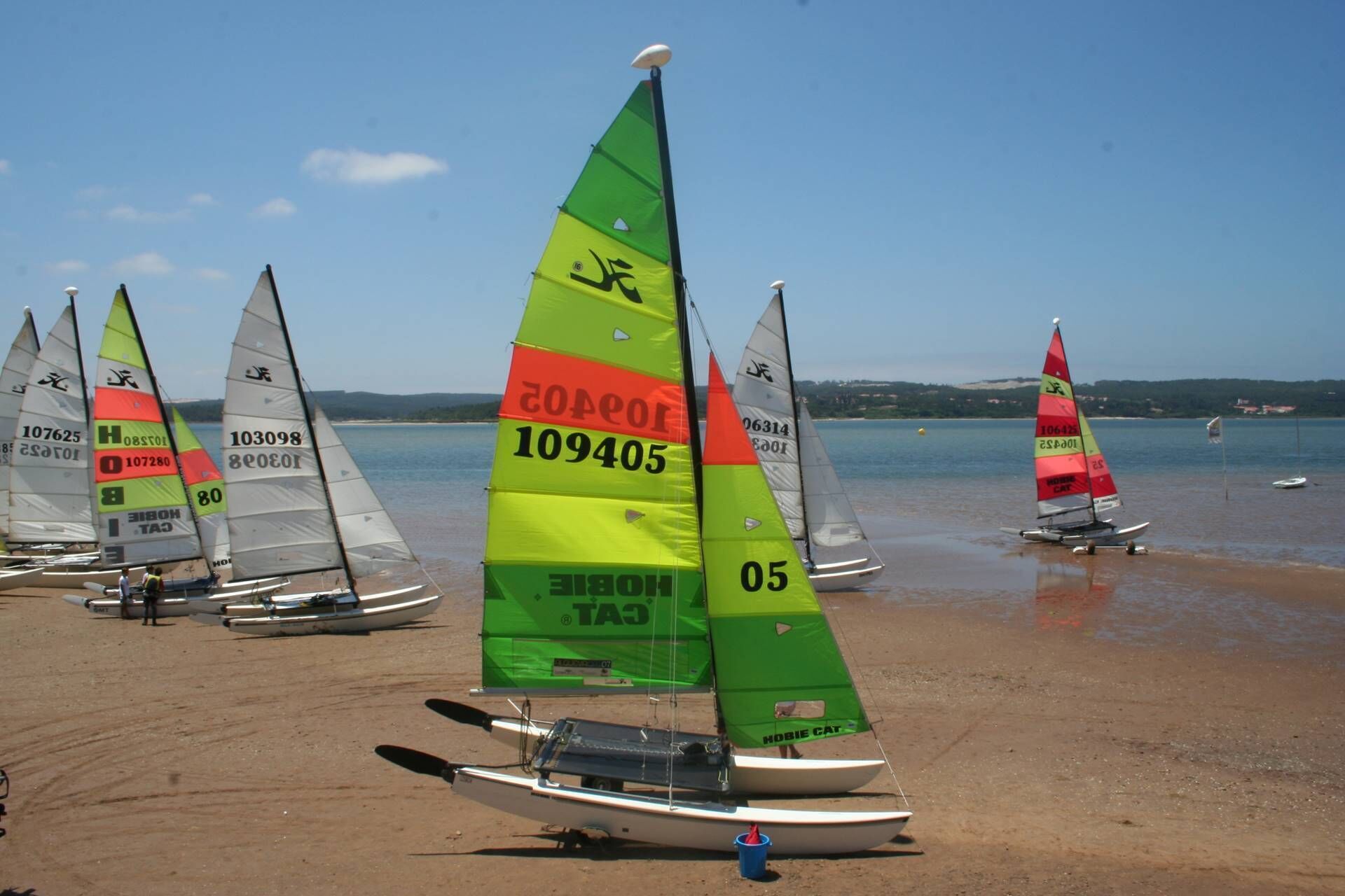 A beach with multiple sailboats lined up, some with colorful sails and others with white sails.