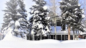 Un bâtiment entouré d’arbres couverts de neige.