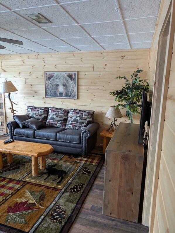 Smart TV, fireplace, DVD player, stereo