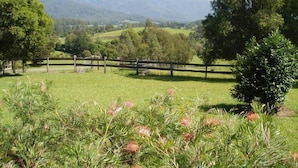 A fenced grassy field with trees and a mountain range in the background. - Fernridge Farm Cottage (Bellingen)