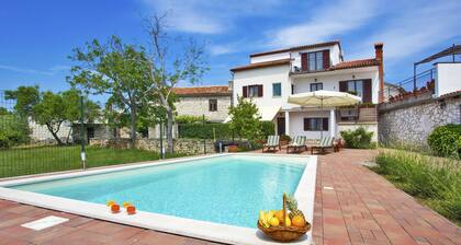 Villa with private pool in village Kujići