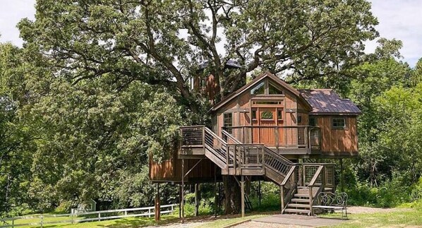 Exterior - Tree House Luxury Stay (Cottage Grove)