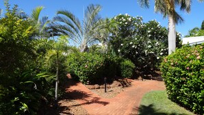 Un chemin de jardin pavé, bordé d’une végétation luxuriante et de palmiers.