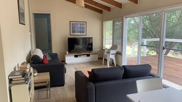 Smart TV, fireplace, DVD player, books