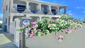 A two-story building with a balcony, a sign indicating 'Dream House 16', and a lush flowering vine in front.