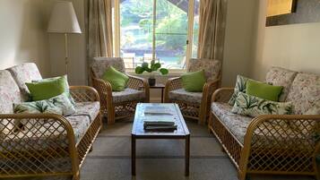 TV, fireplace, DVD player, books