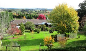 Property grounds - Sherwood Park - A rural atmosphere in town / set on 2 acres (Bowral)