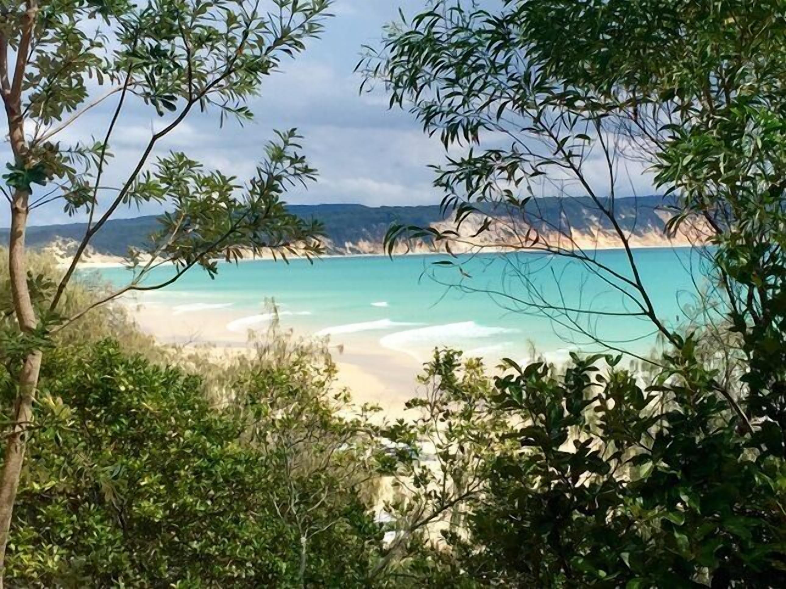 Dee's Retreat - Oceanview Apartments — image 19