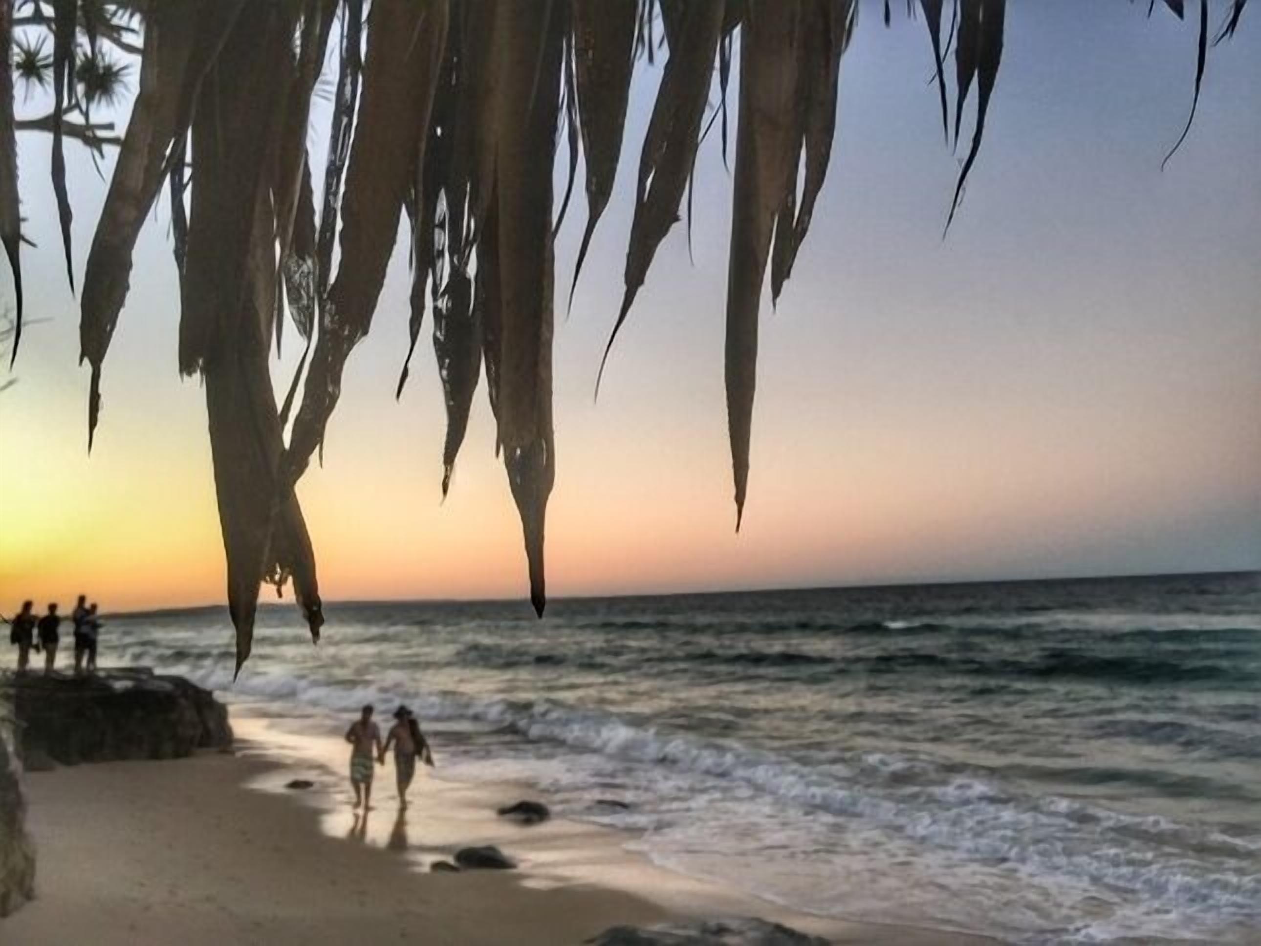 Dee's Retreat - Oceanview Apartments — image 24