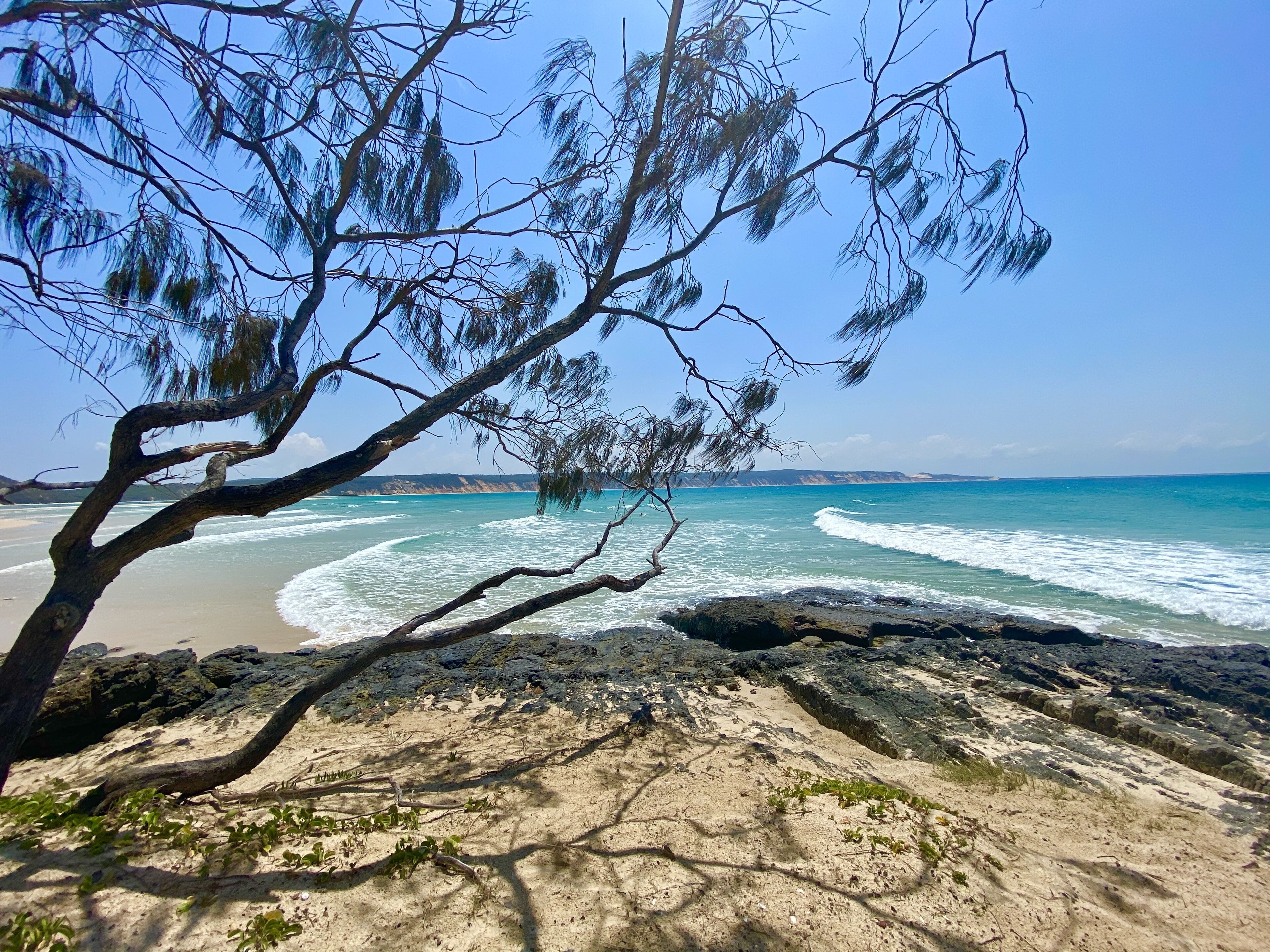 Dee's Retreat - Oceanview Apartments — image 27