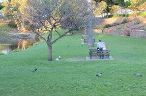 A park with a bench, a pond, and trees.