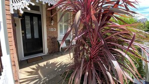 Una casa con puerta negra, el número '153' en la pared y una planta grande de hojas rojas en el frente.