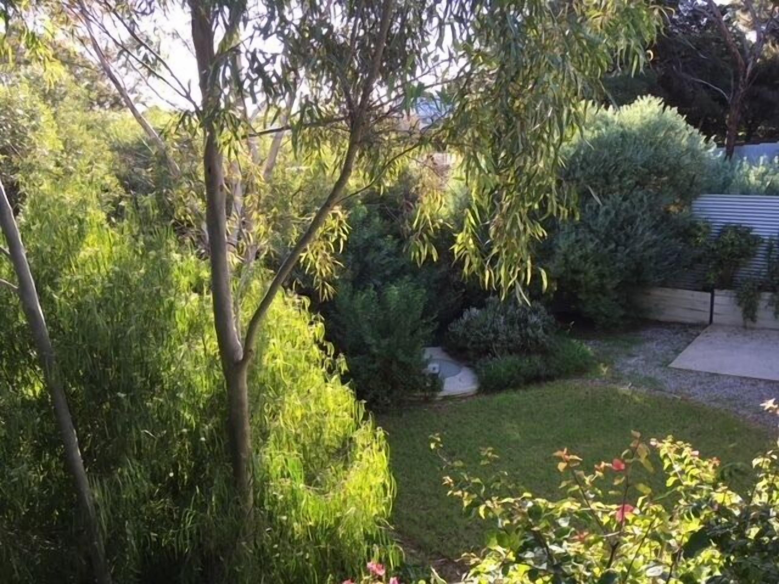 Elanora at Port Willunga — image 11