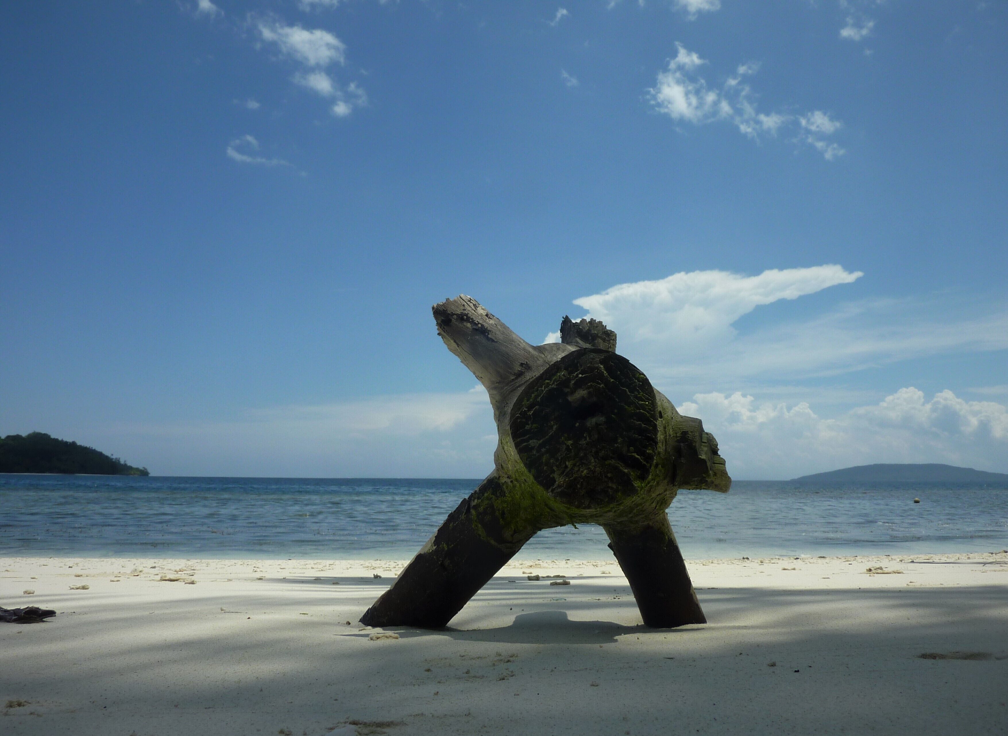 Our Bungalow Set In Front White Sandy Beach Integrated With The Jungle