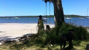 A beach with boats in the water, a tree, and a dog. - Lemon Tree Shack - Family friendly by the sea (Lemon Tree Passage)