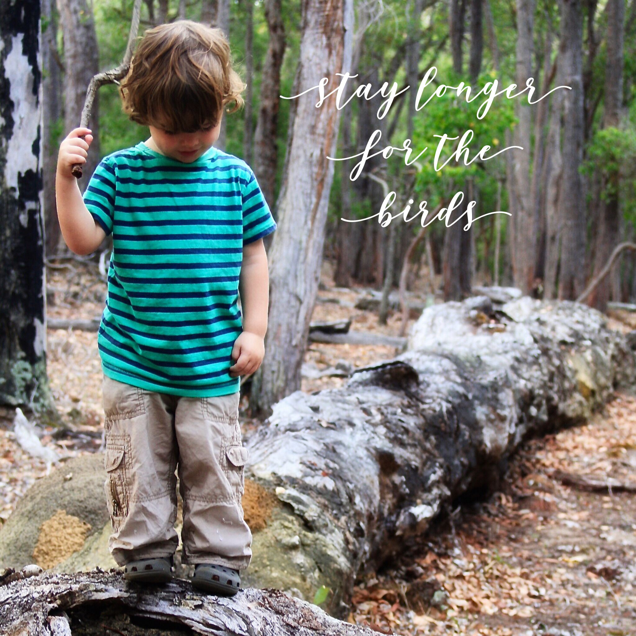 For The Birds Yallingup — image 30