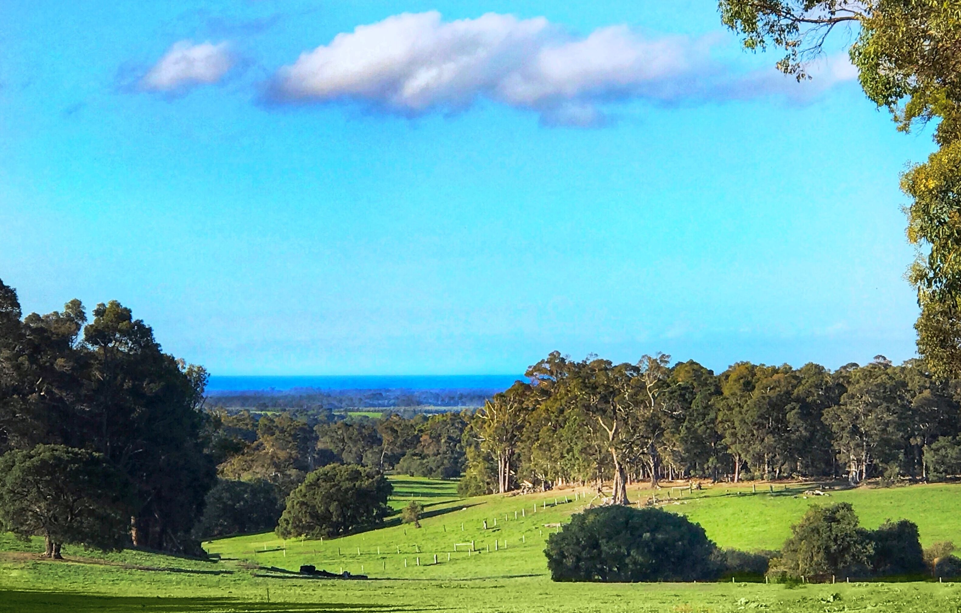 For The Birds Yallingup — image 6