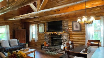 TV connectée, cheminée, jeux vidéo, lecteur de DVD