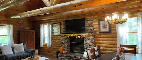 TV connectée, cheminée, jeux vidéo, lecteur de DVD