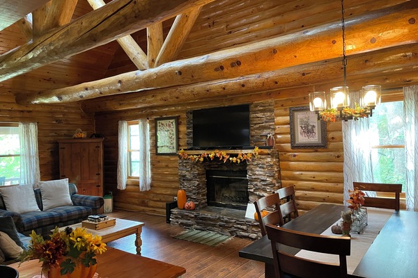 Smart TV, fireplace, video games, DVD player