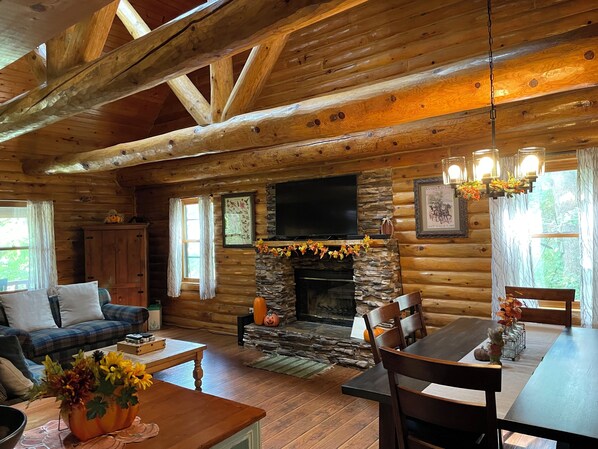 Smart TV, fireplace, video games, DVD player