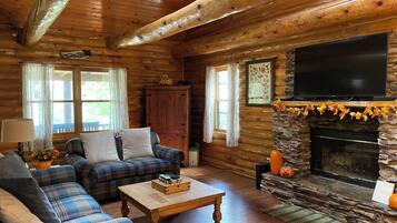 TV connectée, cheminée, jeux vidéo, lecteur de DVD