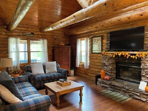 Smart TV, fireplace, video games, DVD player