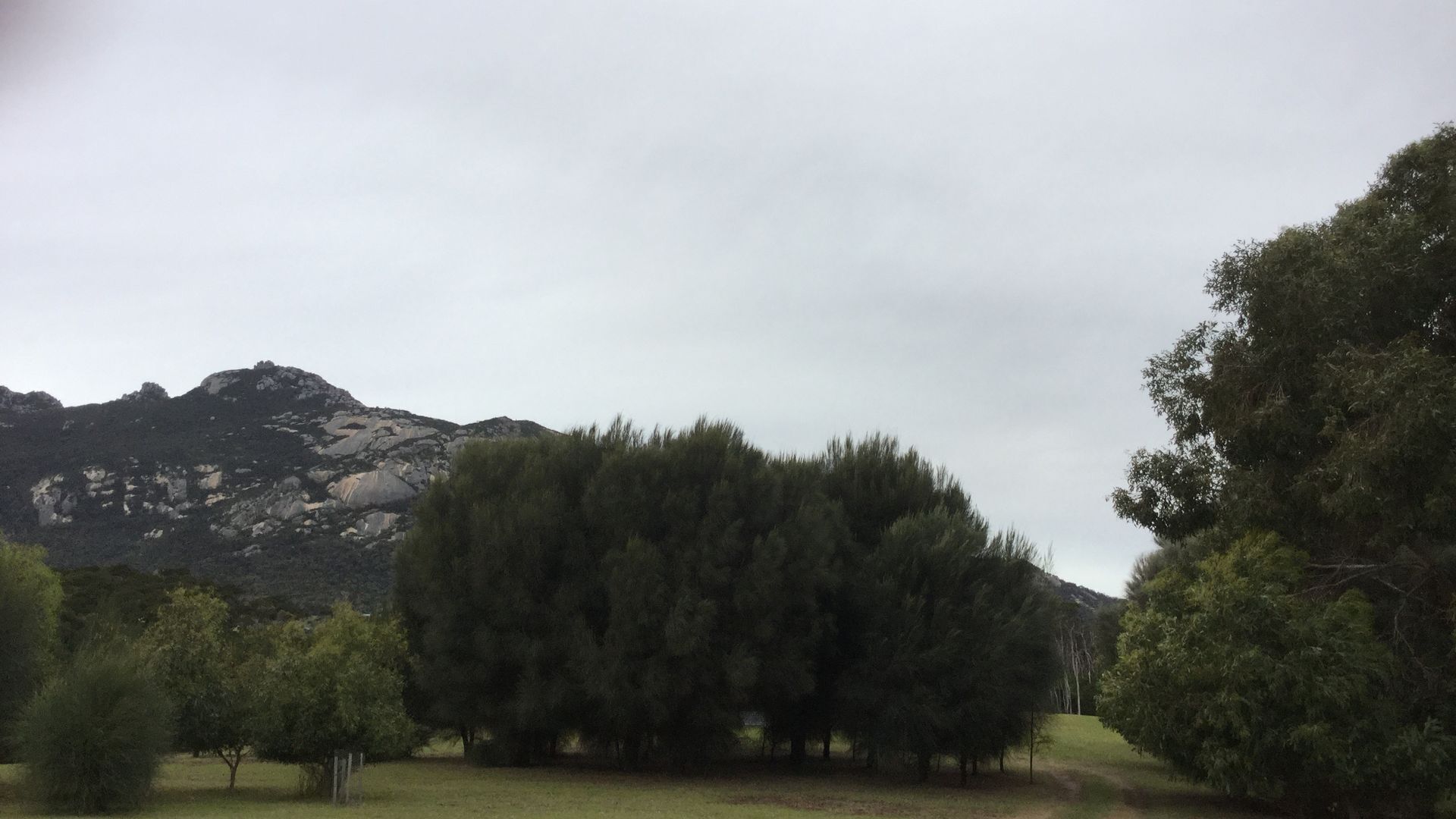 Walden@TrousersPoint — image 11