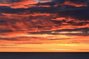 Miscellaneous - Secluded, tranquil home by the Beach. Pet-friendly. (Mokihinui)