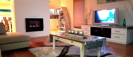 Smart TV, fireplace, DVD player, books