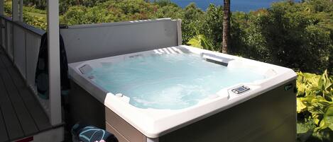 Renew & Unwind in this NEW HotSpring "Pulse" 7-Person Spa!