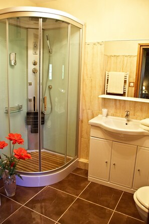 Shower, hair dryer, towels, soap - Charming gite in delighful village location (Tremolat)