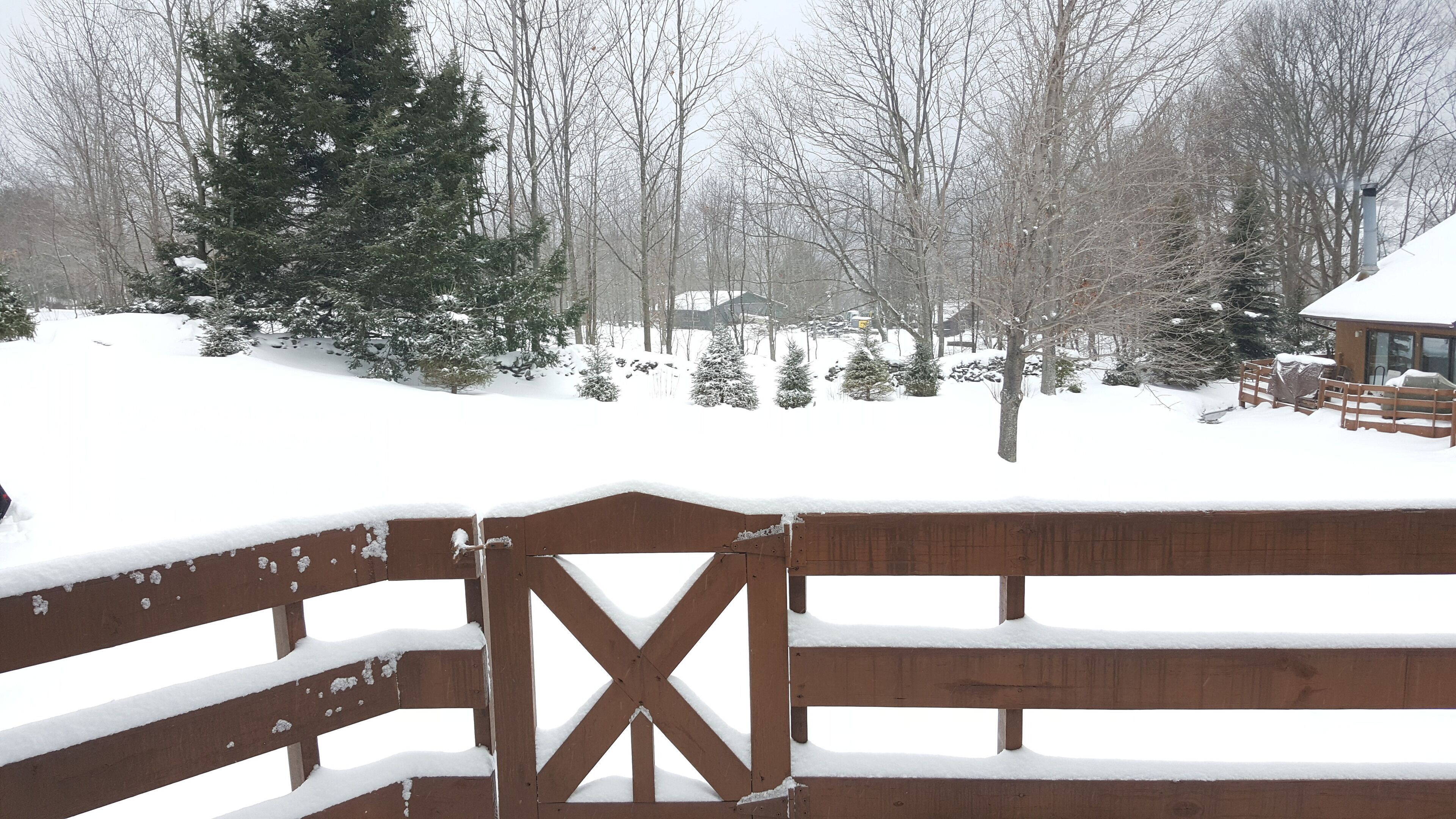 View From Back Porch