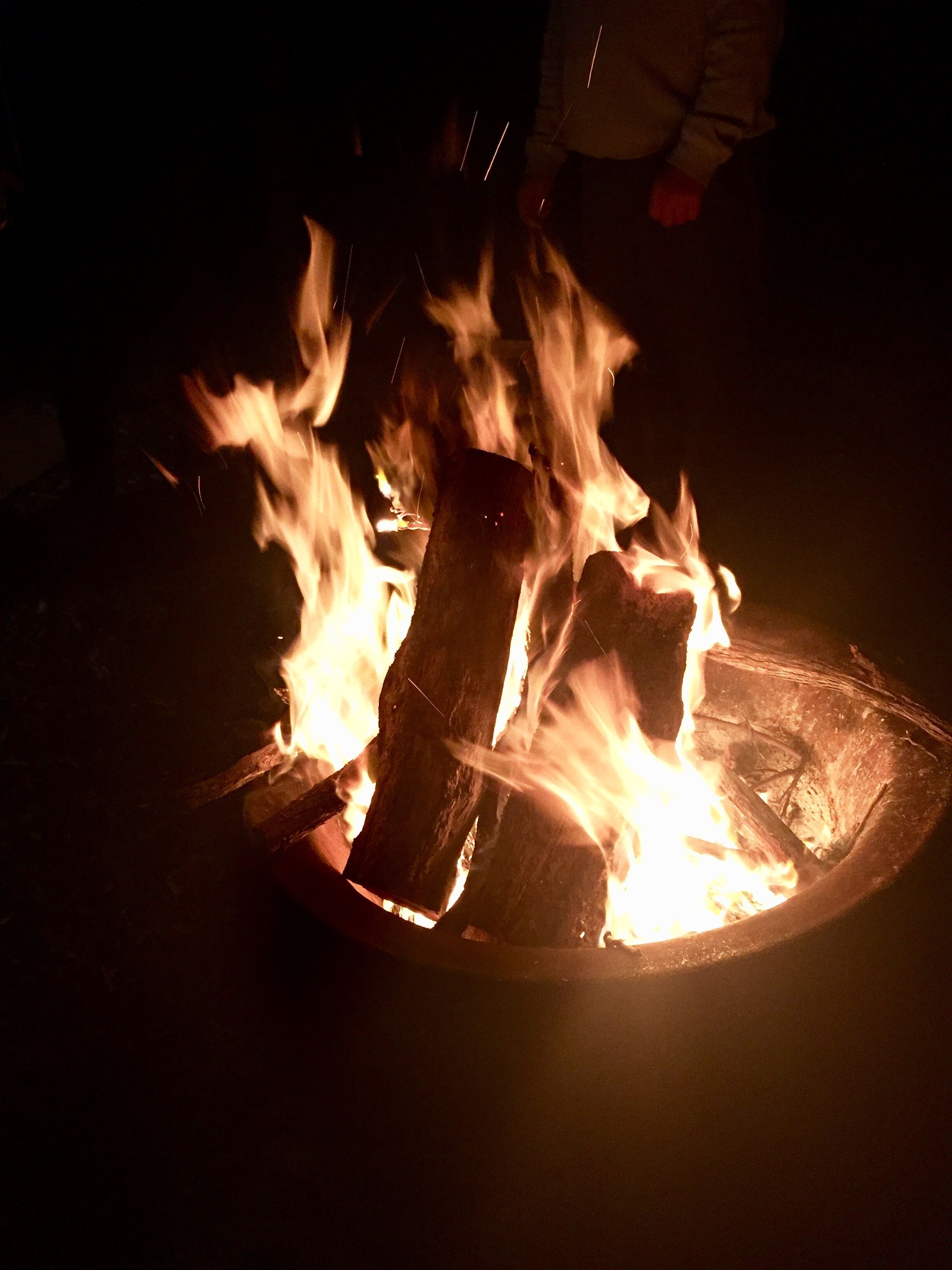 Cairnamohr - Tranquil Bush Retreat - Pets ok — image 30