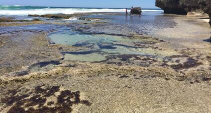 Cairnamohr - Tranquil Bush Retreat - Pets ok