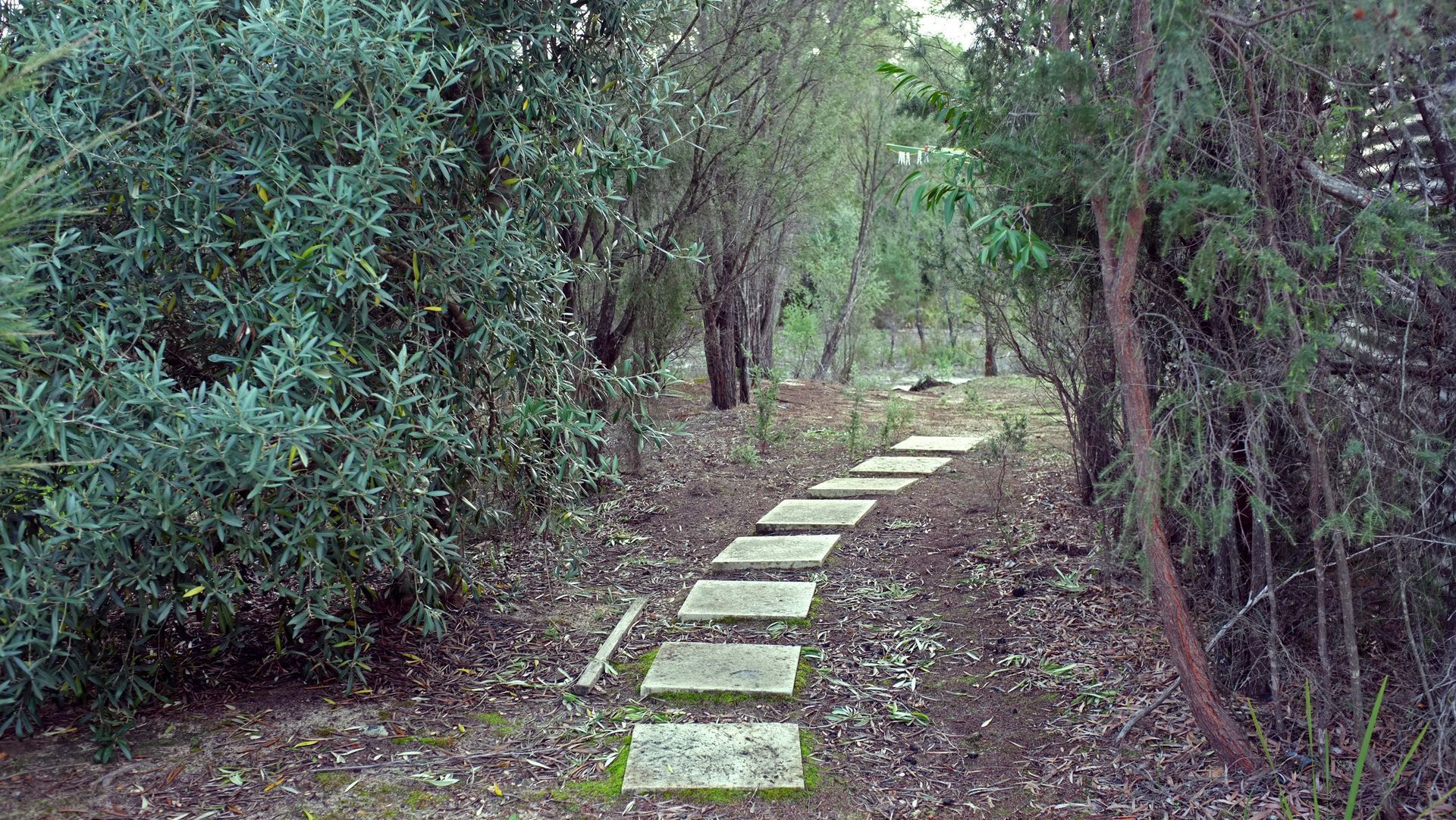 Cairnamohr - Tranquil Bush Retreat - Pets ok — image 27